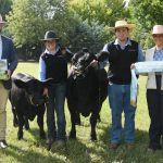 Canberra Royal 2024: Fleckvieh results