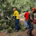 Mixed yarding at Mareeba