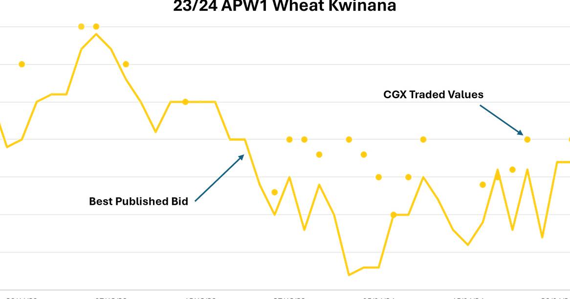 Grain markets are tentatively poised