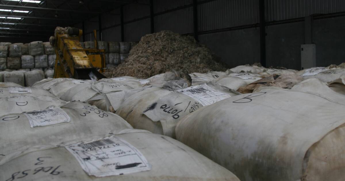 Wool price decline defied by Western market