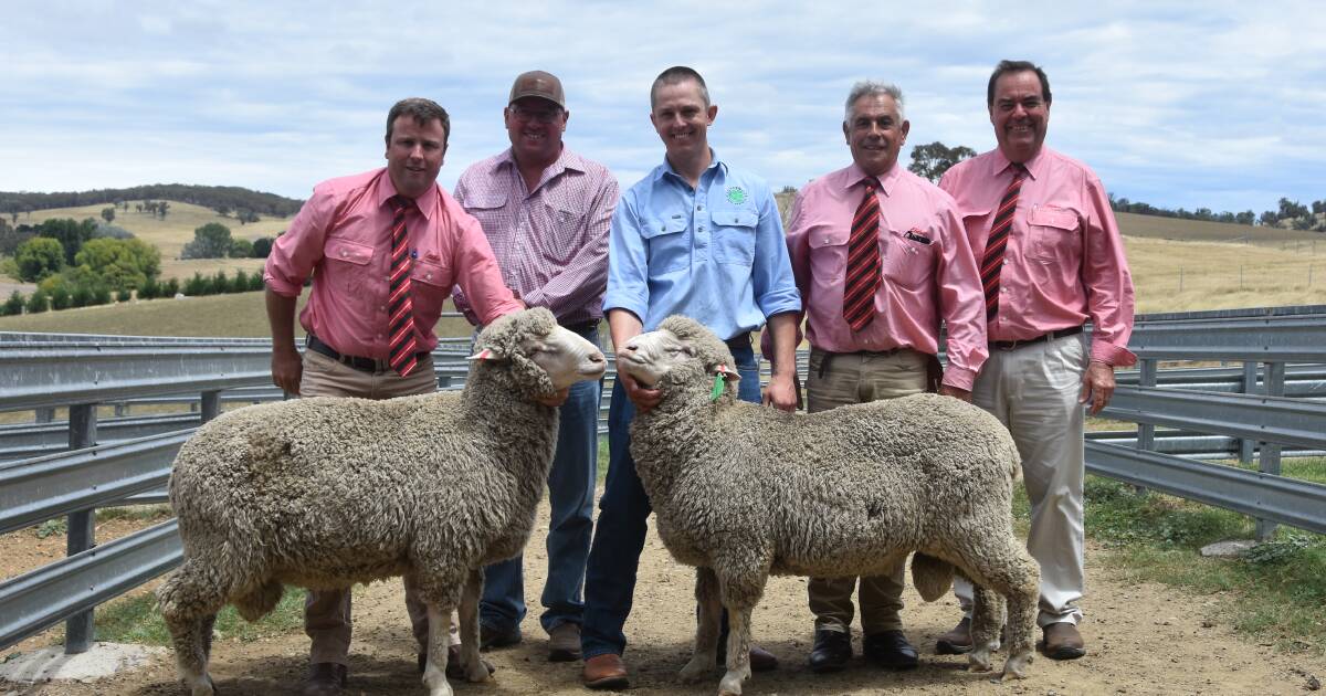 Clovernook Poll Merino top equals $3000