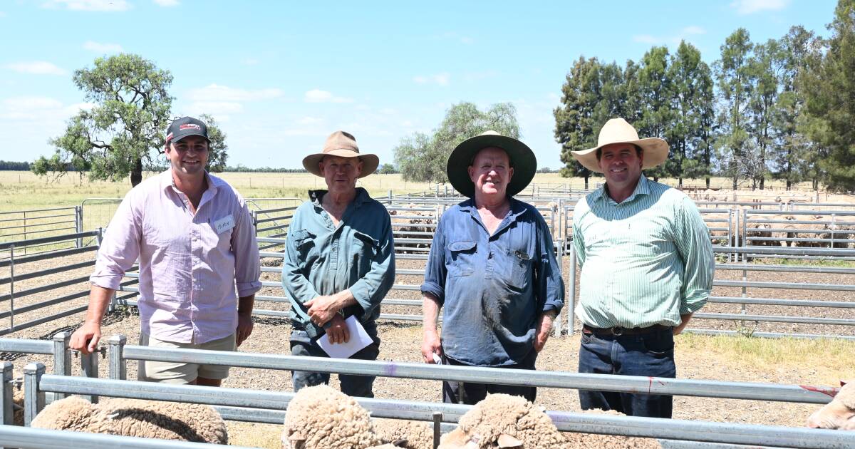 Burke Partnership claim Ted Little Memorial Trundle flock ewe comp win