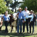 Canberra Royal 2024: Belted Galloway results