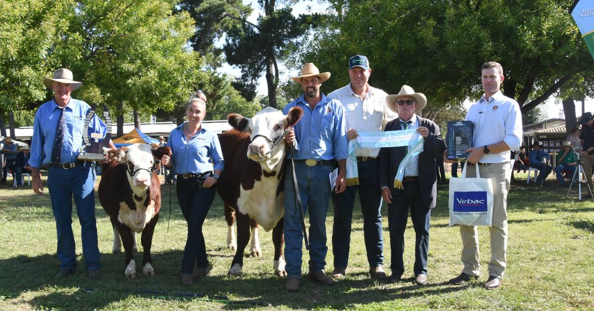 Full results from the Herefords ring at the 2024 Royal Canberra Show | The Land