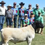 Prices strong for scanned-in-lamb ewes at Barellan