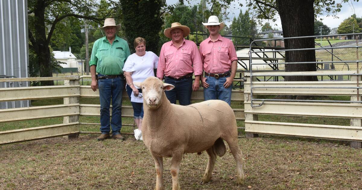 Palana Poll Dorset sell heavily into Northern Tablelands.