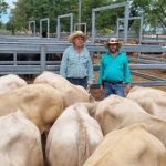 Alfoxton poll Merinos clear 61 of 69 rams with two rams to $5500