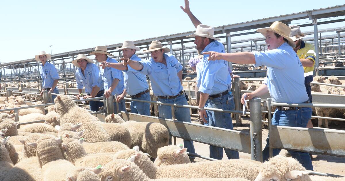 Rabobank tips better year for farmers, but global unease won’t help | Queensland Country Life