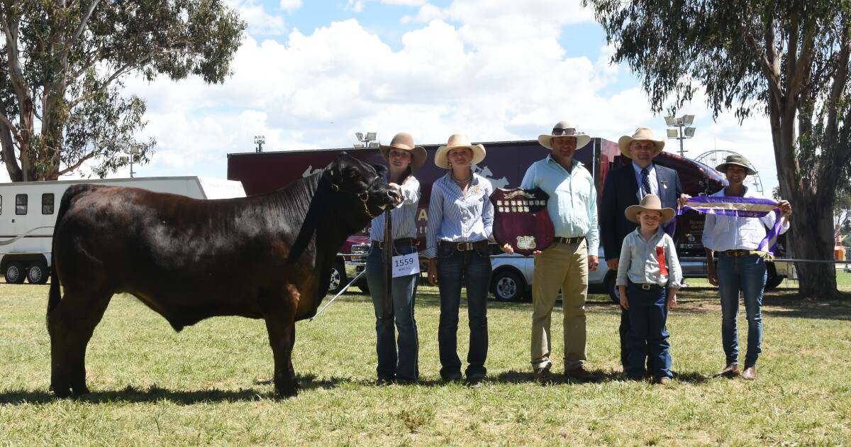 Unique package seals a quadruple steer win for St John's College at Canberra Royal Show