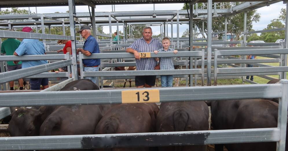 Beaudesert store sale: feeder and restocker steers sold to firm market | Queensland Country Life