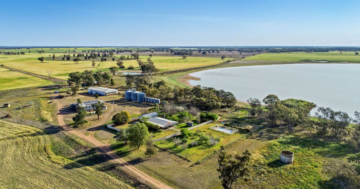 Quality soils underpin flexible farming and grazing property Elmore