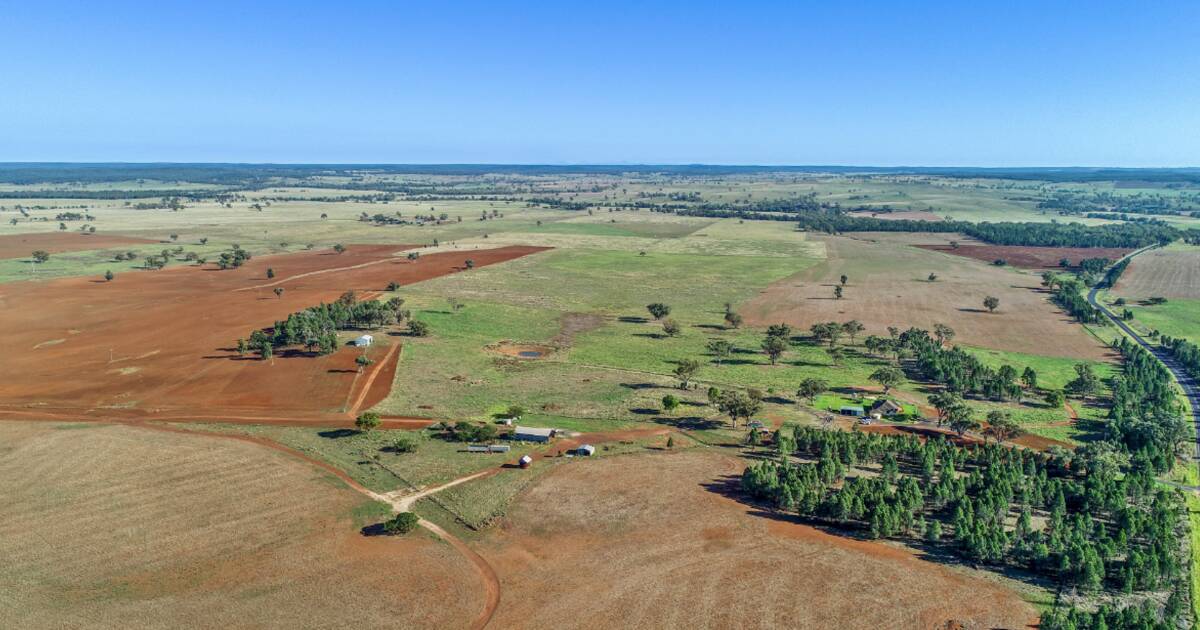 Quality red kurrajong cultivation and grazing country | Video