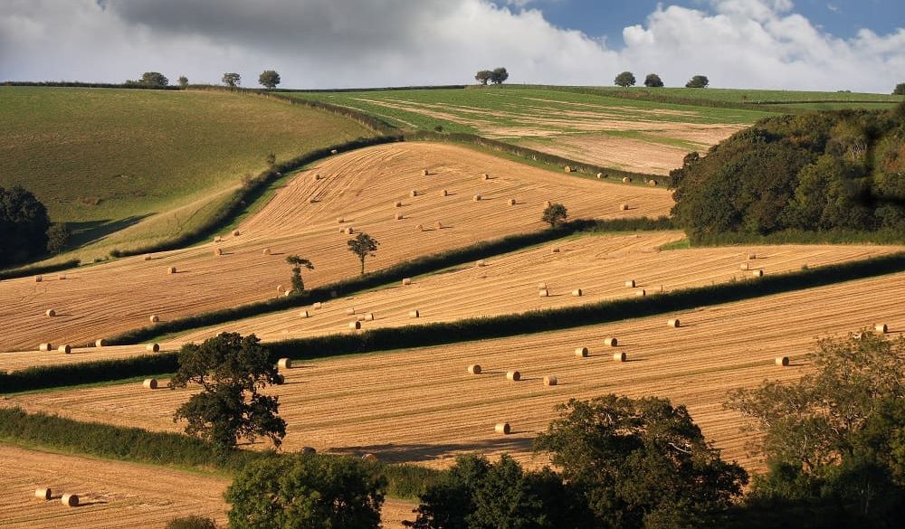 Are UK farmers walking out of their crease on Australian beef’s environmental credentials?