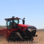 Quality pushes Carenda Angus to $13,500