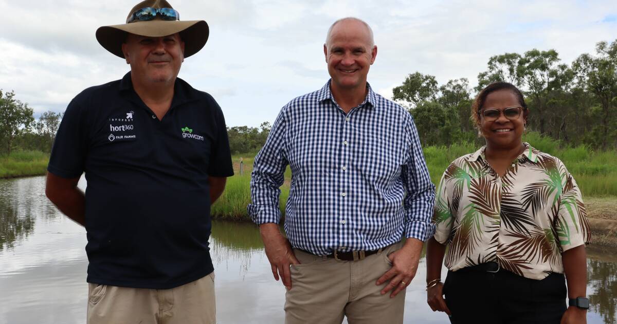 Water efficiency project delivers 38pc increase to Tablelands food bowl