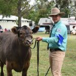 Water efficiency project delivers 38pc increase to Atherton Tablelands food bowl