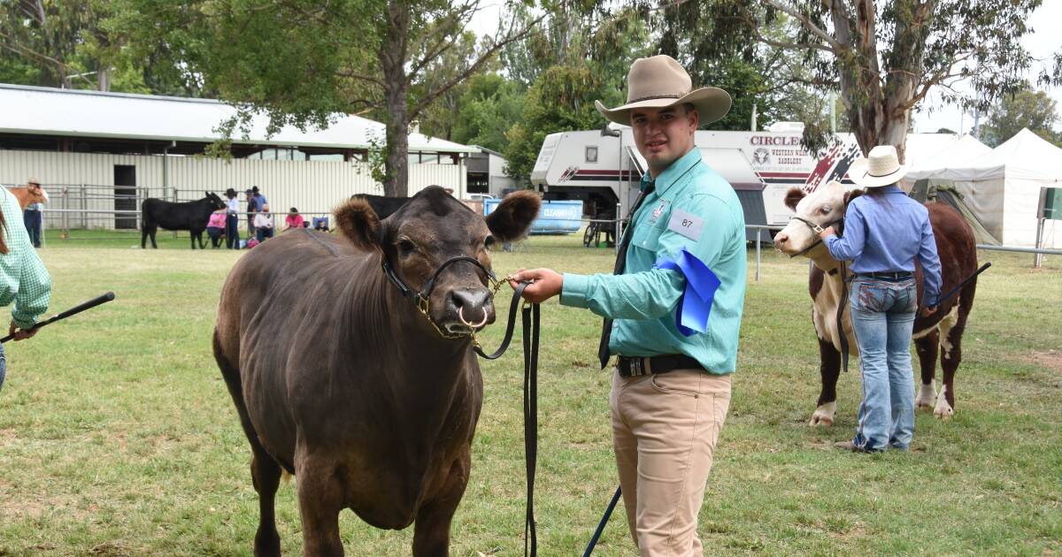 TRAC student Zachary Charlton excels in agricultural competitions | The Land