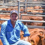 Dalby sale 6 Mar 2024: Prices reflect mixed yarding