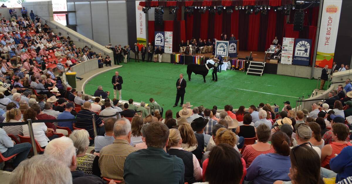 Meet the ALPA NSW Young Auctioneers Competition finalists | The Land