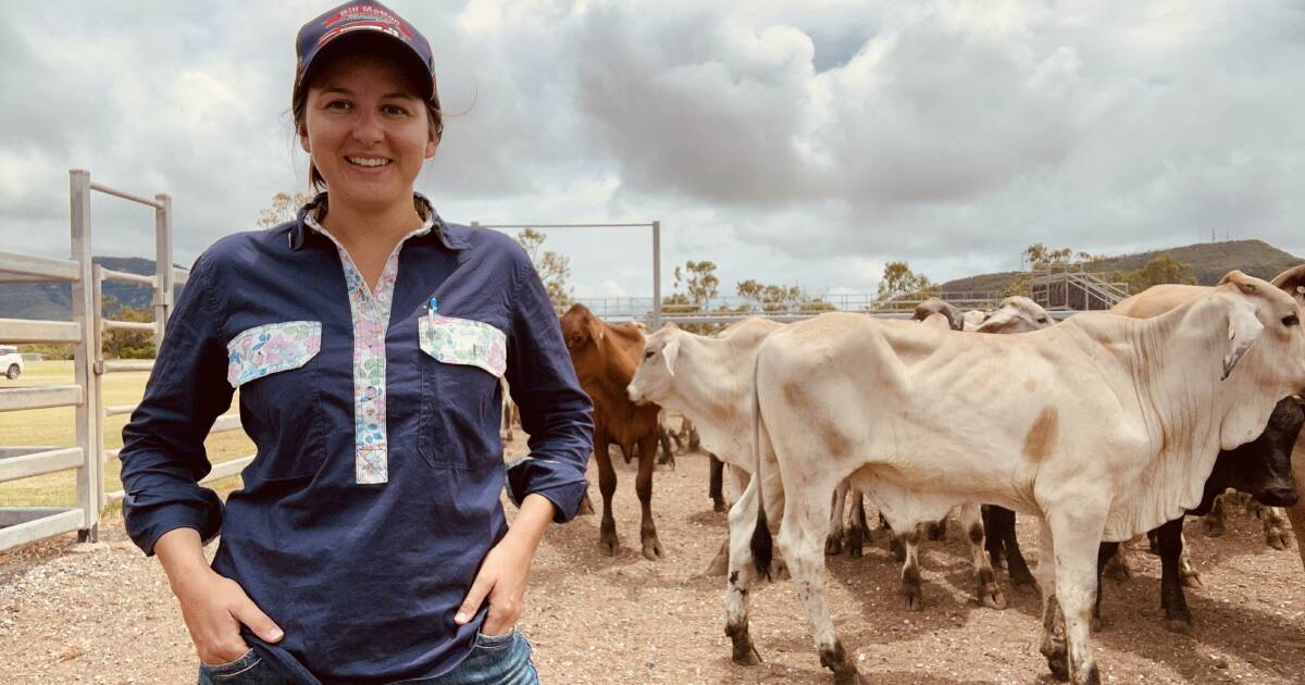 Kate Andison’s journey in cattle industry from paddock to port | Queensland Country Life