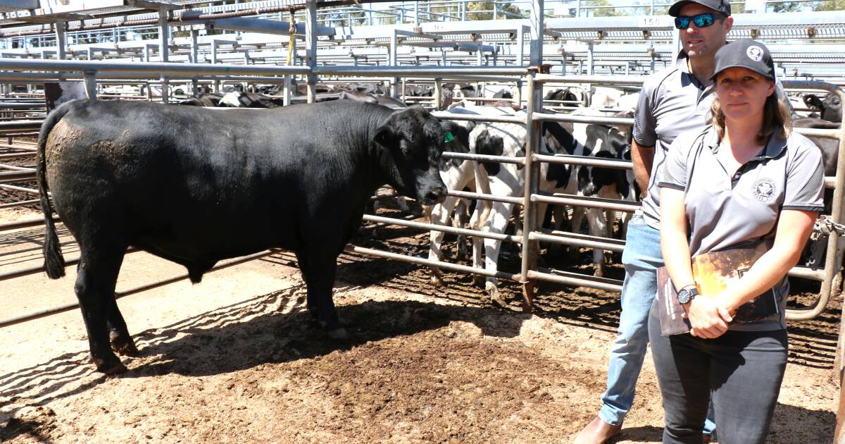 New and return buyers ensure sale success for Whispering Pines Angus | Farm Weekly