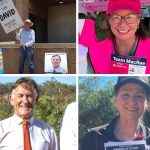 Southend Murray Grey Stud Dominates Wagin Woolorama 2024 | Farm Weekly