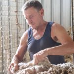 Outstanding North Queensland grazing and hay making opportunity