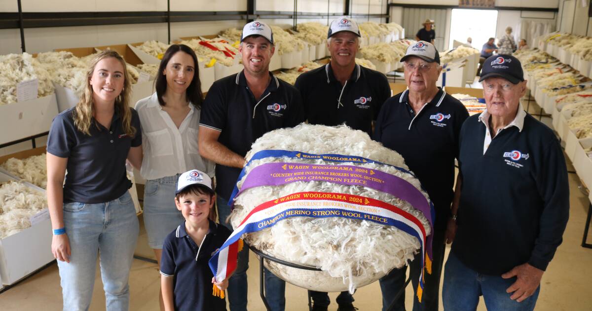 Kolindale reigns supreme in Woolorama wool shed | Farm Weekly