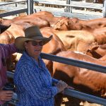 New chair for North Australia Beef Research Council