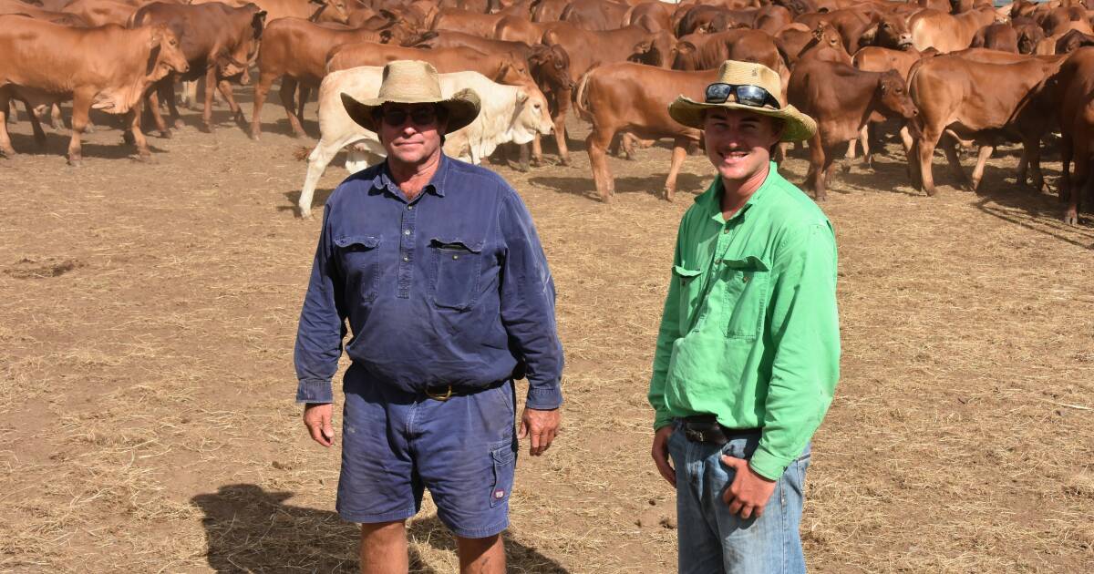 Griff Symonds: Cattle grazier’s risk pays off | North Queensland Register