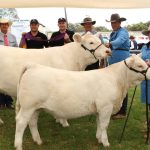 Australian-grown blueberrry breaks record as world's heaviest