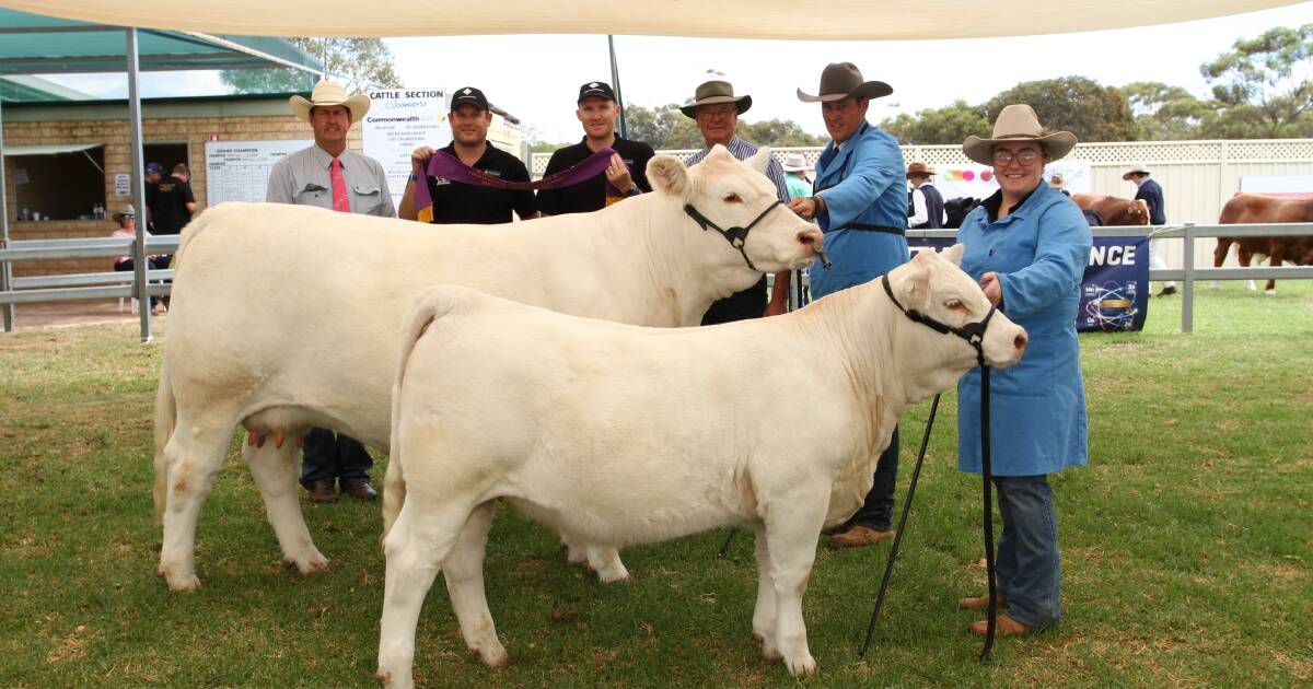 2024 Wagin Woolorama Cattle Expo Winners | Farm Weekly