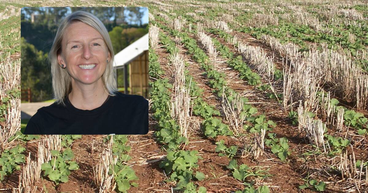 Soil carbon upgrade linked to good agronomy