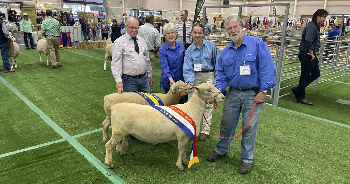 Dedicated Southdown breeders flys the breed flag