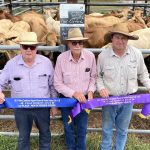 Debut Stonehaven Cup win to Greenland Merino stud, Bungarby