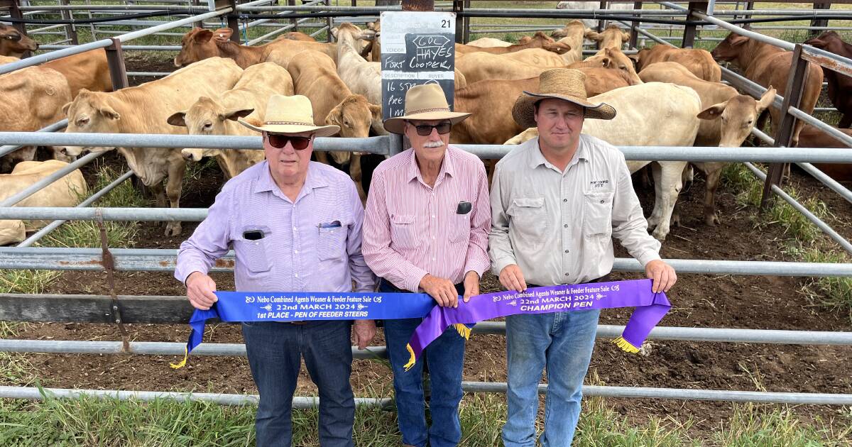 Nebo family crowned grand champions at feeder steer show