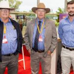 Casino Euro-cross weaners catch the keen eye of Queensland buyers