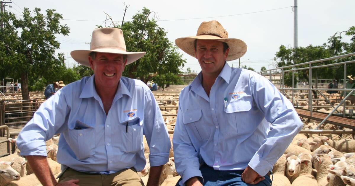 Dubbo Regional Council looks to sell or lease Dubbo saleyards | The Land