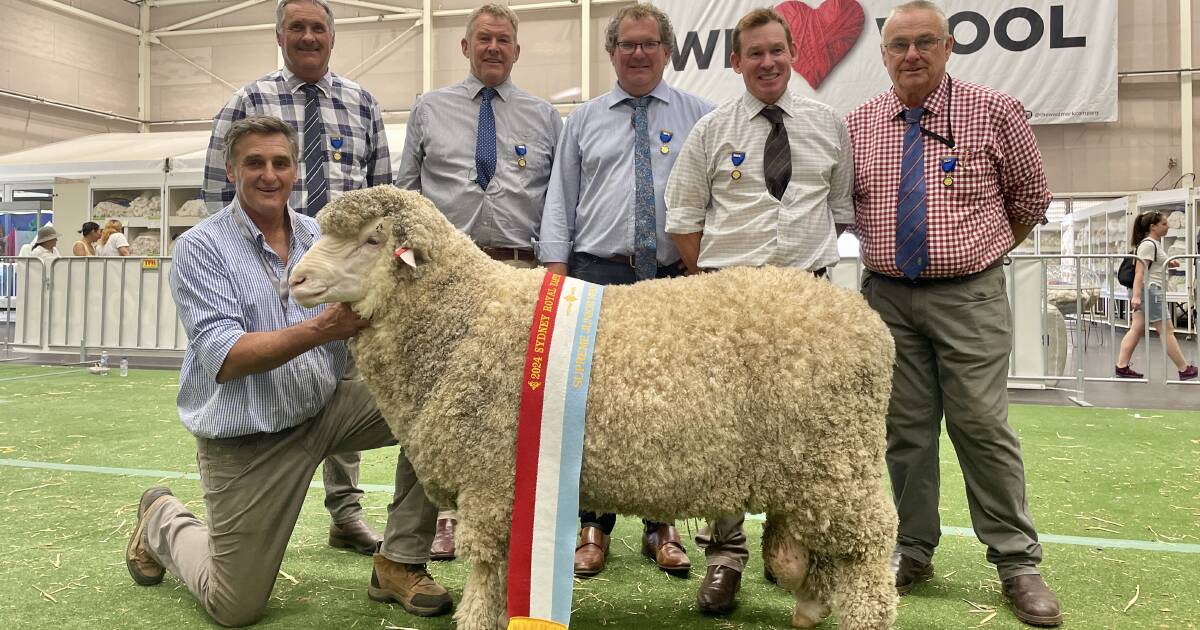 Alfoxton wins 2024 Tom Culley supreme junior Merino at Sydney Royal | The Land