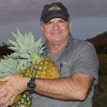 Steer market holds firm at Dunedoo store sale