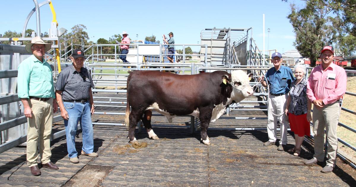 WA Supreme Bull Sale reaches top price of $22,000. | Farm Weekly