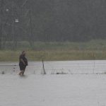 Easter campers rescued in Qld's north west amid rising floodwaters