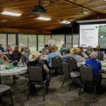 Peanuts and sesame under the microscope as high value crop options | North Queensland Register