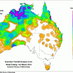 Hope for CQ sorghum harvest despite pest pressures