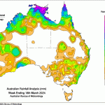 Aus cattle exports total 23,021 in February