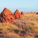 72-Year-Old motorcyclist dies in Leyburn crash | Queensland Country Life