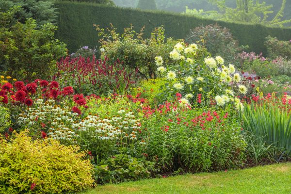 When it comes to designing and making a garden, it’s always worth seeking advice