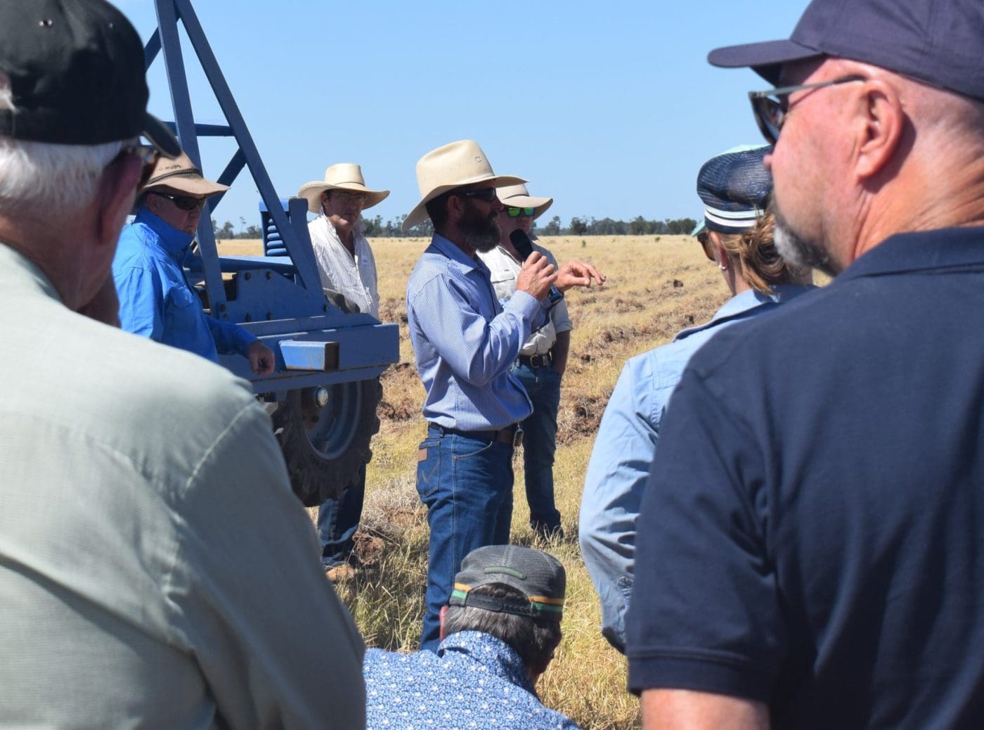 Long-term legumes providing options for Southern Qld mixed farmer