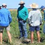 Wililoo stud, Woodanilling, wins the grand champion Merino ram at Wagin. | Farm Weekly