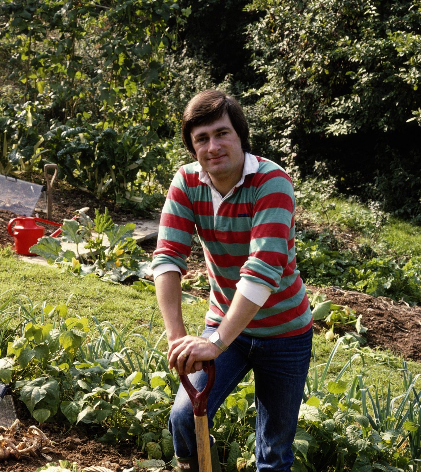 Alan Titchmarsh: The boy who left school early with one O-level 60 years ago… and found the perfect career